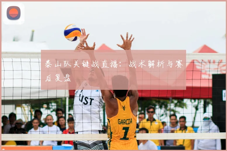 泰山队关键战直播：战术解析与赛后复盘