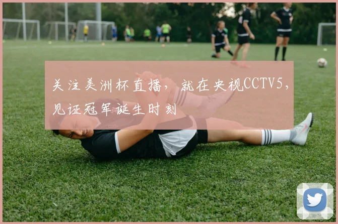 关注美洲杯直播，就在央视CCTV5，见证冠军诞生时刻