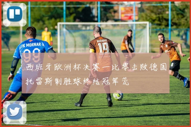 西班牙欧洲杯决赛一比零击败德国托雷斯制胜球终结冠军荒