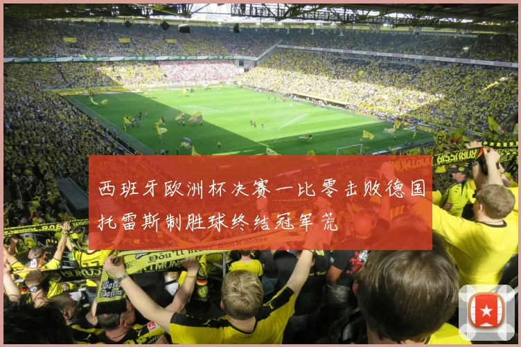西班牙欧洲杯决赛一比零击败德国托雷斯制胜球终结冠军荒