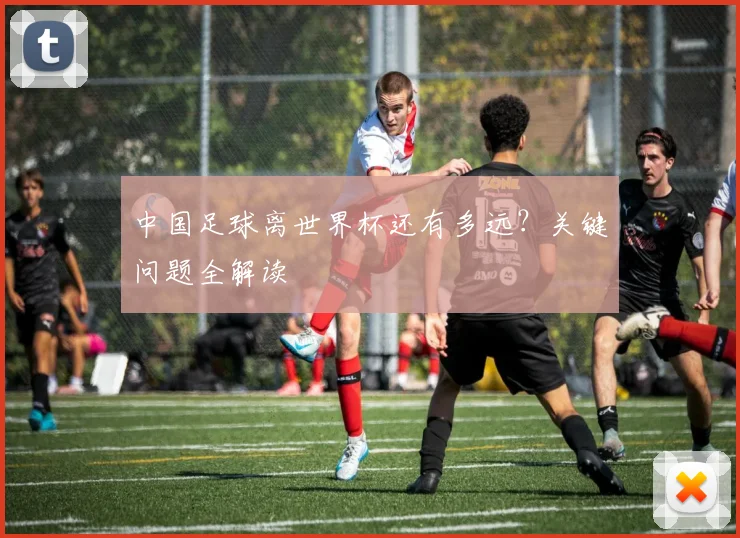 中国足球离世界杯还有多远?关键问题全解读