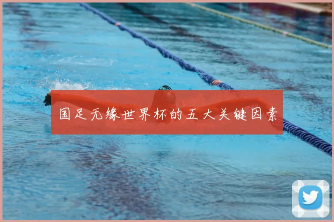 国足无缘世界杯的五大关键因素