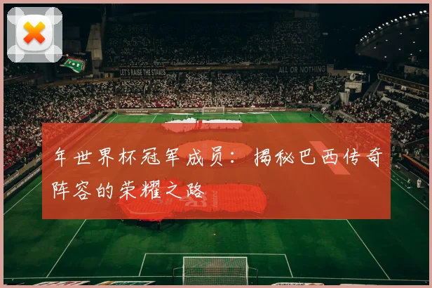 年世界杯冠军成员：揭秘巴西传奇阵容的荣耀之路
