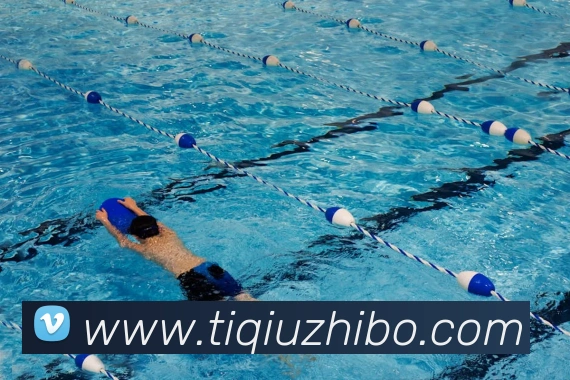 开云app官方入口网页版平台生态图